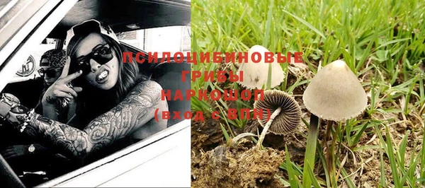 дживик Армянск